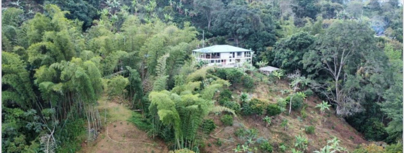 Finca en  Arriendo en Centro 1, La vega - Miniatura 21