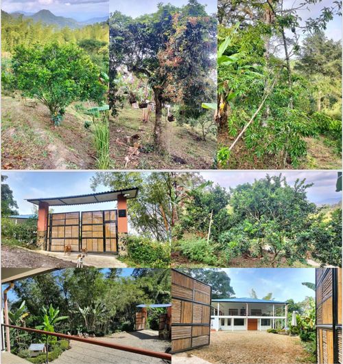 Finca en  Arriendo en Centro 1, La vega - Miniatura 22