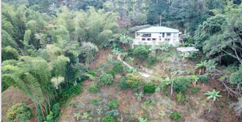 Finca en  Arriendo en Centro 1, La vega - Miniatura 23