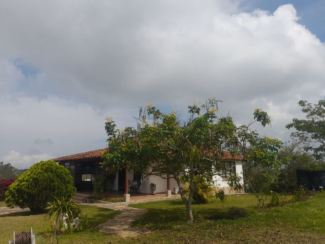 Finca en  Venta en Los santos - Miniatura 14