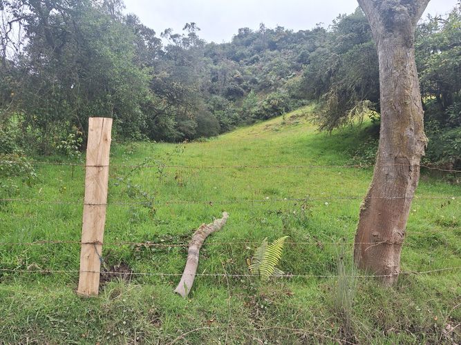 Finca en venta en Villapinzon - Miniatura 2