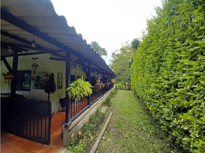 Finca en  Arriendo en Circasia - Miniatura 2