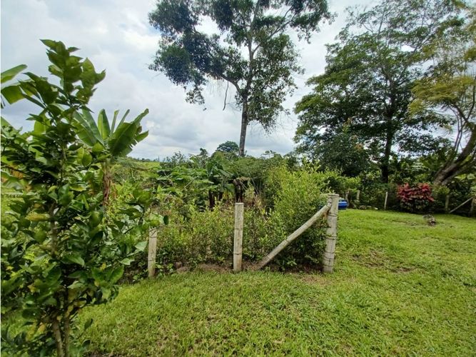 Finca en  Arriendo en Circasia - Miniatura 15