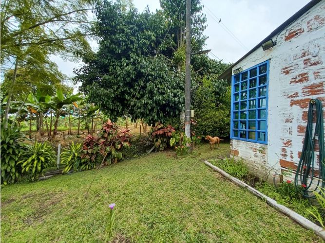 Finca en  Arriendo en Circasia - Miniatura 16