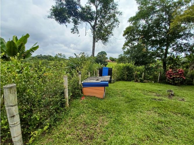 Finca en  Arriendo en Circasia - Miniatura 18