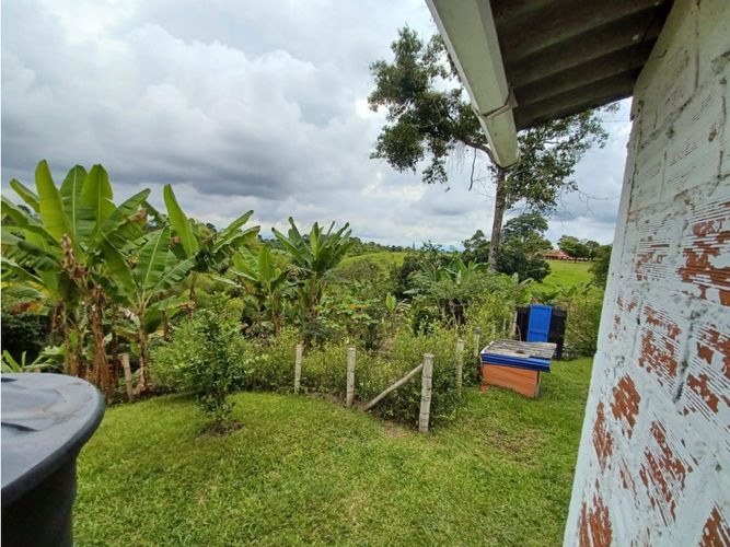 Finca en  Arriendo en Circasia - Miniatura 19