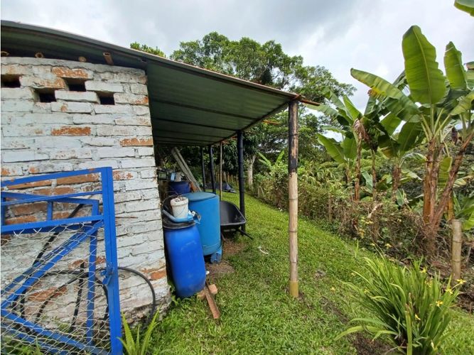 Finca en  Arriendo en Circasia - Miniatura 23