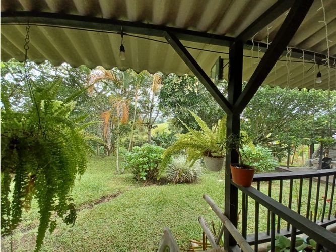 Finca en  Arriendo en Circasia - Miniatura 25