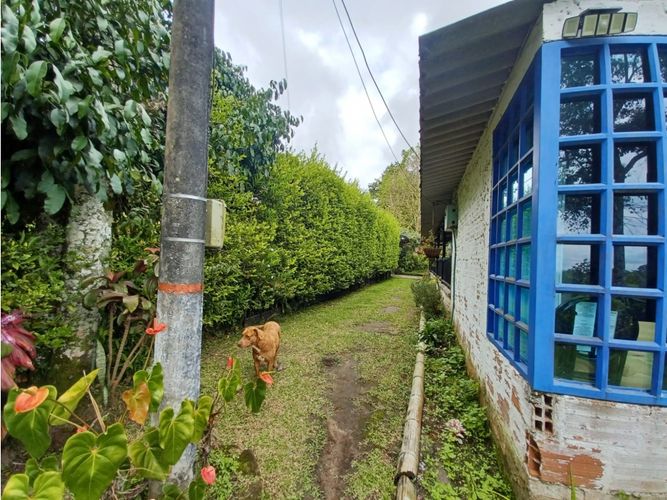 Finca en  Arriendo en Circasia - Miniatura 27