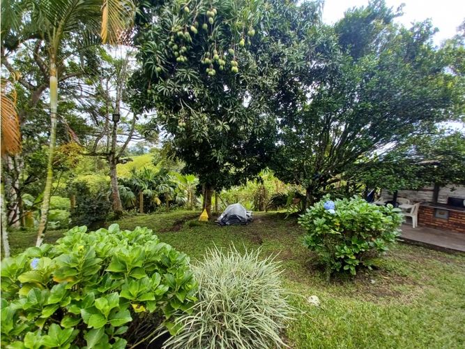 Finca en  Arriendo en Circasia - Miniatura 29