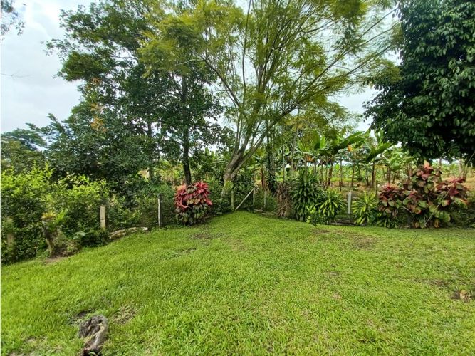 Finca en  Arriendo en Circasia - Miniatura 30