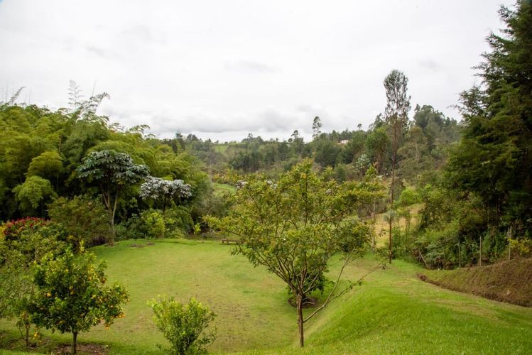 Finca en  Venta en San Vicente Ferrer, San vicente - Miniatura 18