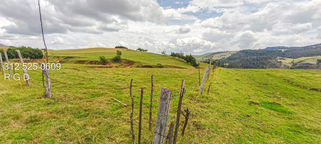 Finca en  Venta - Miniatura 3