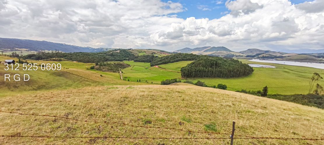 Finca en  Venta - Miniatura 9