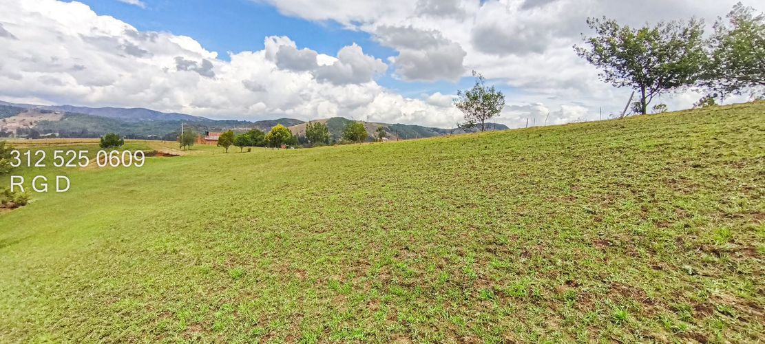 Finca en  Venta - Miniatura 12
