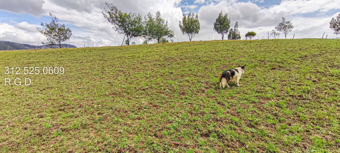 Finca en  Venta - Miniatura 13