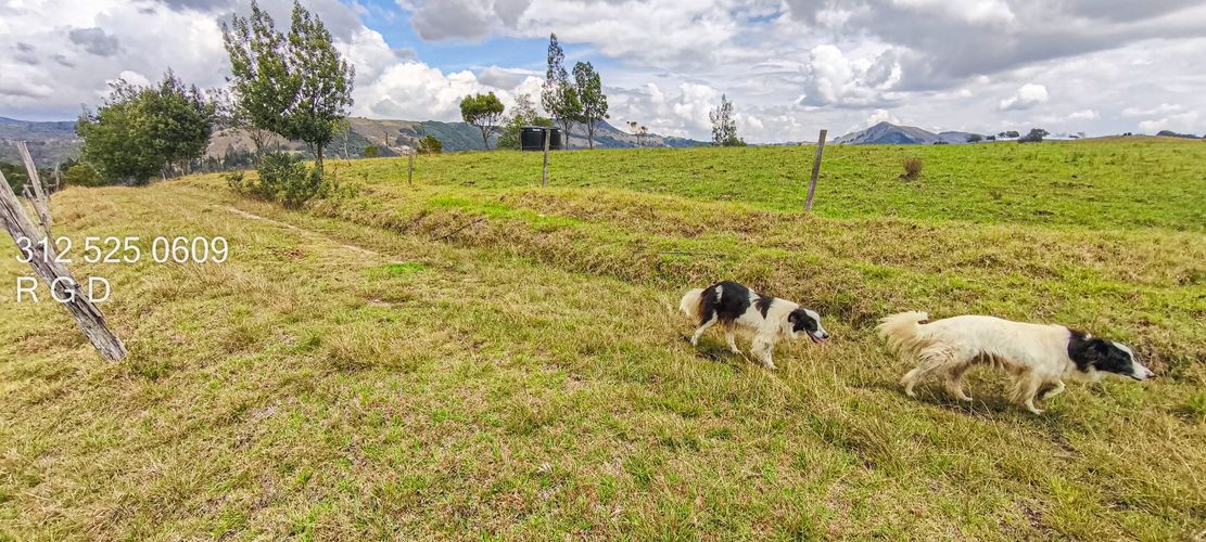 Finca en  Venta - Miniatura 14