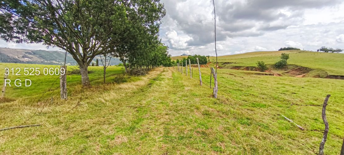 Finca en  Venta - Miniatura 17