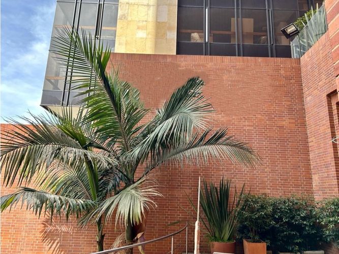 Oficina en arriendo en Zona chapinero, Bogotá - Miniatura 16