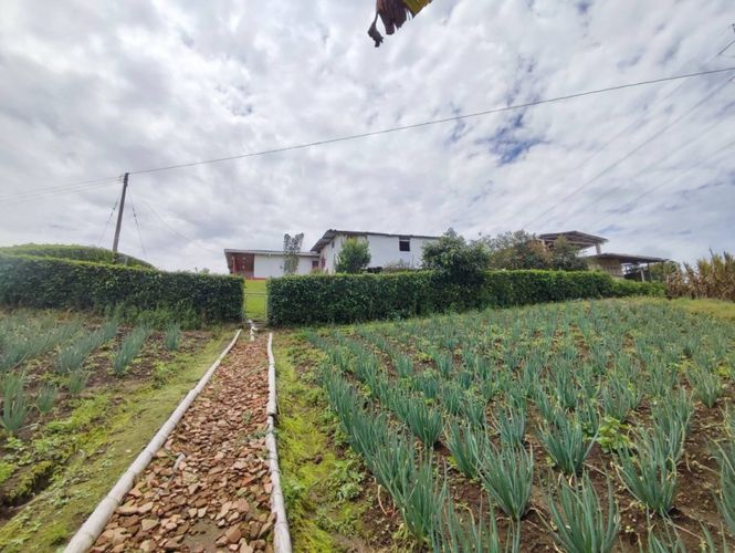 Finca en  Venta en La bella, Pereira - Miniatura 2