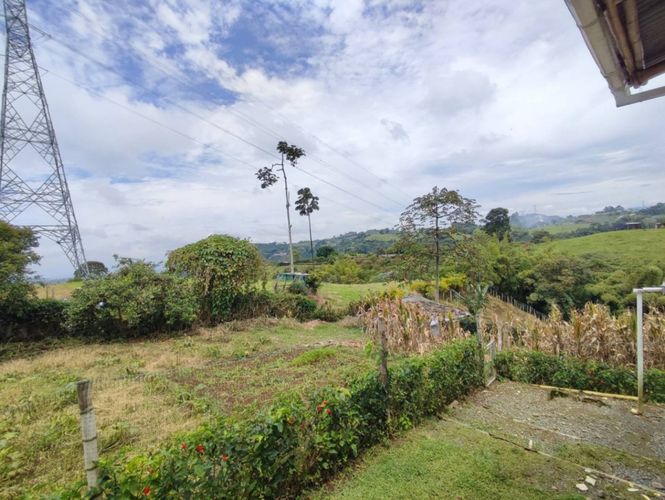 Finca en  Venta en La bella, Pereira - Miniatura 6