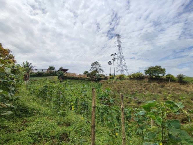 Finca en  Venta en La bella, Pereira - Miniatura 9