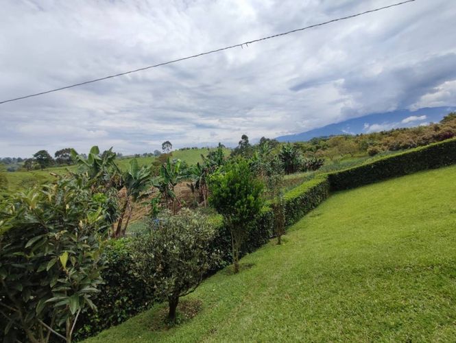 Finca en  Venta en La bella, Pereira - Miniatura 11