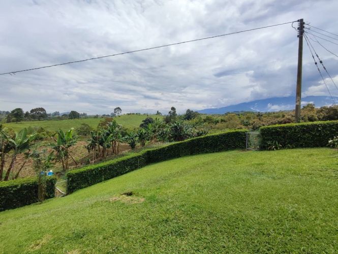 Finca en  Venta en La bella, Pereira - Miniatura 12