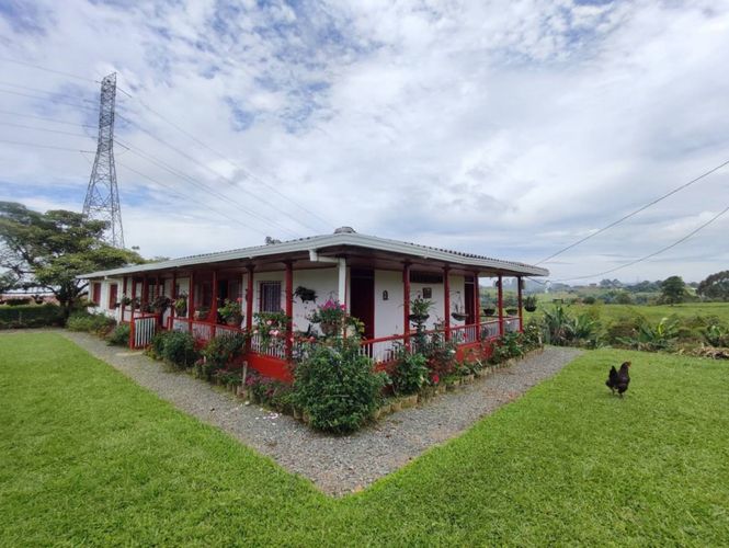 Finca en  Venta en La bella, Pereira - Miniatura 13