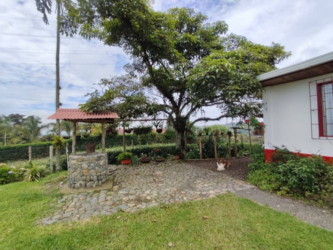 Finca en  Venta en La bella, Pereira - Miniatura 15