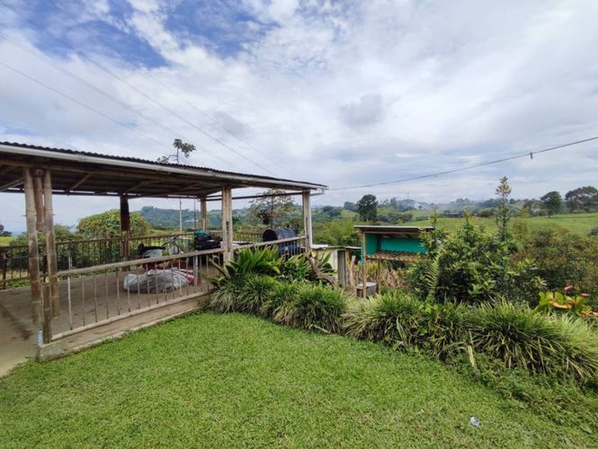 Finca en  Venta en La bella, Pereira - Miniatura 29