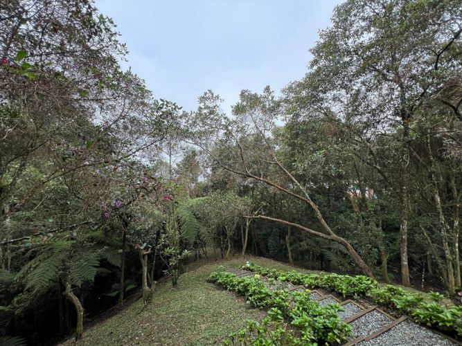 Casa en  Arriendo en El salado, Envigado - Miniatura 17