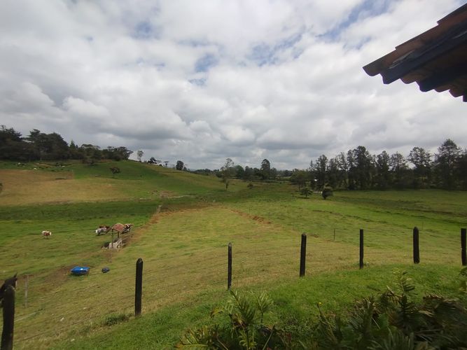 Finca en  Arriendo en Llano Grande, Rionegro - Miniatura 6