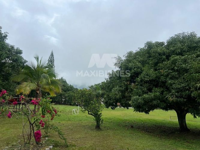 Finca en  Venta en Llanos de aguirre, San Jerónimo - Miniatura 12