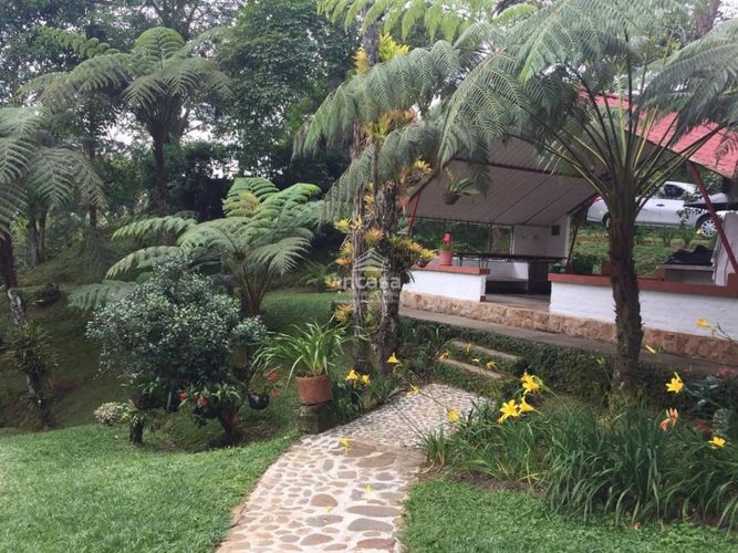 Finca en  Venta en Dagua - Miniatura 5