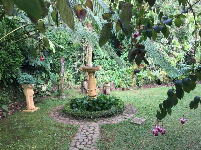 Finca en  Venta en Dagua - Miniatura 6