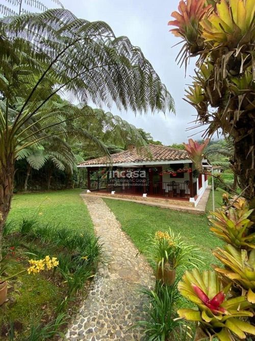 Finca en  Venta en Dagua - Miniatura 17