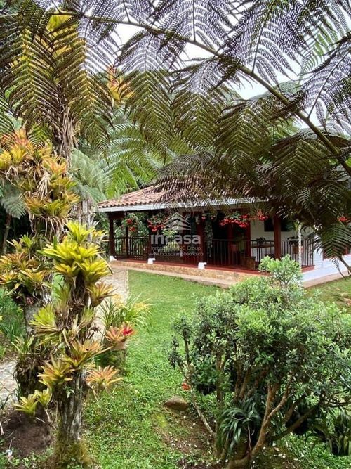 Finca en  Venta en Dagua - Miniatura 18