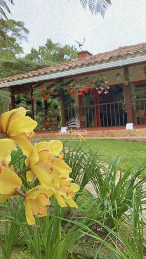 Finca en  Venta en Dagua - Miniatura 19