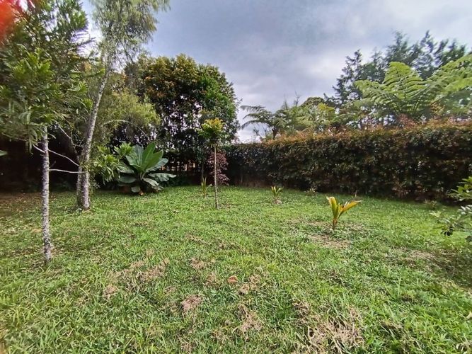 Finca en  Venta en El tambo, La ceja - Miniatura 13