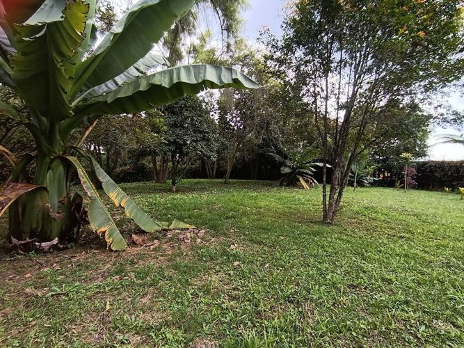 Finca en  Venta en El tambo, La ceja - Miniatura 14