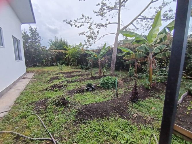 Finca en  Venta en El tambo, La ceja - Miniatura 20