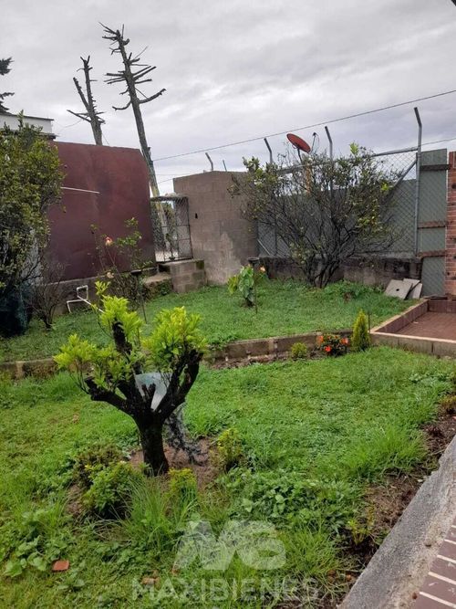 Finca en  Arriendo en Perejil, El peñol - Miniatura 4