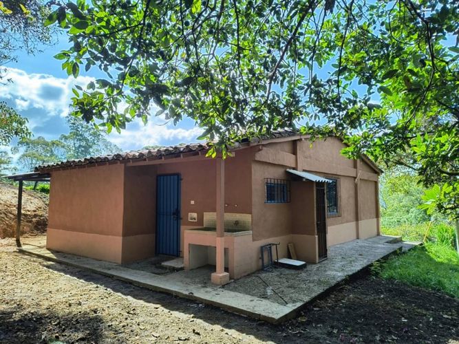 Finca en  Arriendo en El tambo, La ceja - Miniatura 16