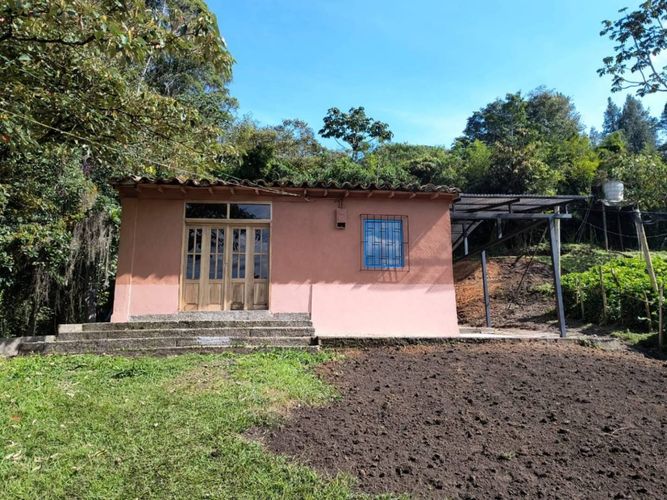 Finca en  Arriendo en El tambo, La ceja - Miniatura 17