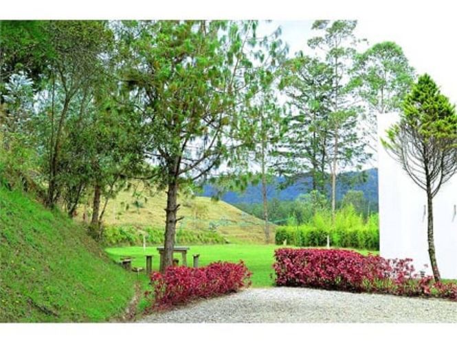 Finca en  Arriendo en Pantanillo, El Retiro - Miniatura 3