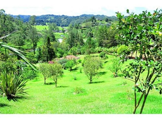 Finca en  Arriendo en Pantanillo, El Retiro - Miniatura 6