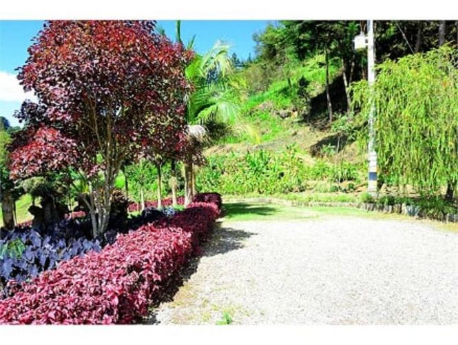 Finca en  Arriendo en Pantanillo, El Retiro - Miniatura 11