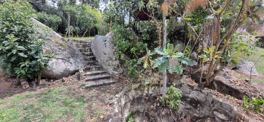 Finca en venta en El chuscal, Zipacon - Miniatura 8