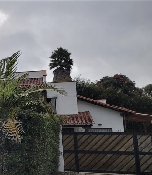Finca en  Arriendo en Barro blanco, Rionegro - Miniatura 14